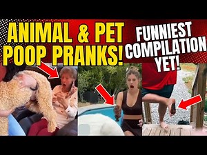 Animal & Pet POOP PRANKS! Funniest Compilation Yet!