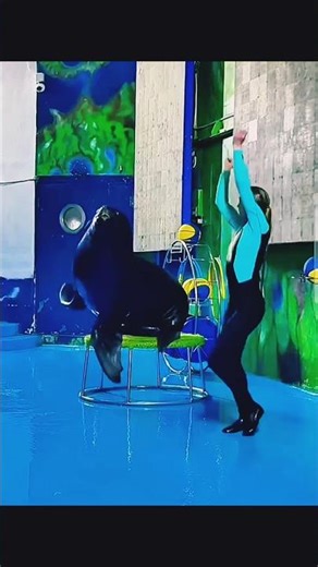 300 KG OF LOVE! ❤️ Вика и её гигантский друг