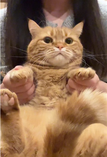 けーばぶをたべよーう！