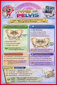 TYPES OF PELVIS