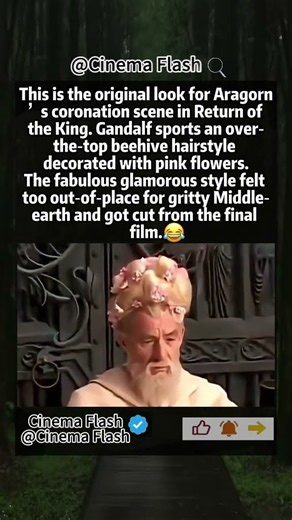 Gandalf’s Fabulous Pink Flower Beehive Hair Deleted From LOTR #lotr #lordoftherings #gandalf
