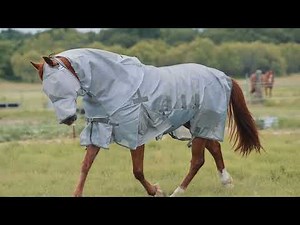 Cashel Company: Innovative Gear For Your Horse, Your Barn, and You