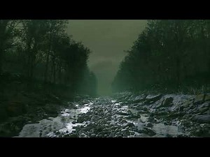 Forest Path (Nanite with Lumen in Unreal Engine 5)