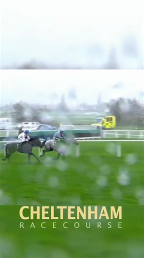 😱👏SEAN BOWEN & WADE OUT-NEVER GAVE UP! Wins The Listed Novices Chase #CheltenhamRaces #NovemberMeeting #Horse #WadeOut #HorseRacing | Horse Racing Away Days