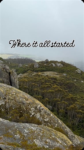 Tilly on Instagram: "Where it started: I fell in love with hiking at 8 years old, on this exact trail just 20 minutes drive from home🌲🥾 I didn’t know it then, but a Year 3 art excursion would lead me to have the most incredible life experiences (sorry for all the nostalgia!). Funny how one small day at school turned into something so significant."