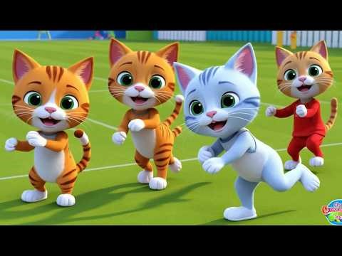 Chat devient meilleur joueur cricket