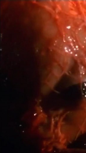Evil Dead Trap (1988) - Hideki’s Rebirth