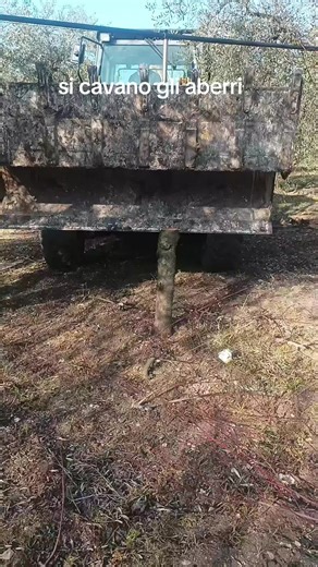 Video di Delle Vergin Matteo (@delleverginmatteo) con Comu si gira e comu si balla ScaFra Remix - ScaFra