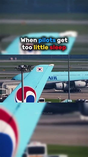 Could someone please tell him? 😆