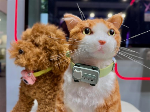 The PetPhone lets your furball dial you. These catcalls are welcome anytime
