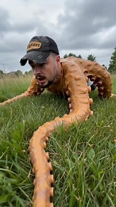 @Idksterling FN but he's a head on a cephalopod body and he is crawling around on the grass repeatedly yelling