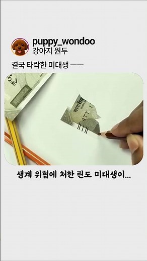 이 린도의 미대생에게 특별한 재능이 있다고 하는 이유