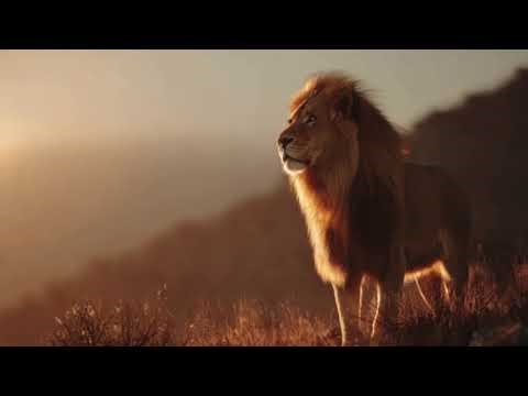 Revelation 4 (The Heavenly Throne)