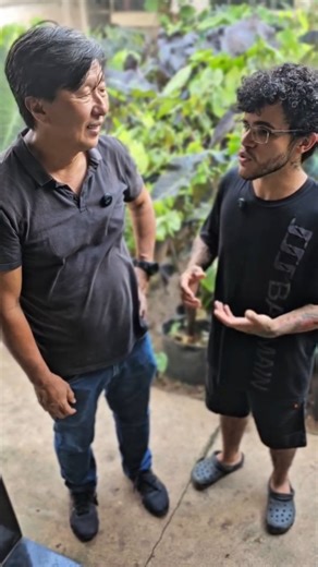 𝐒𝐀𝐘𝐓𝐎𝐑 𝐏𝐋𝐀𝐍𝐓𝐒 🏆 on Instagram: "AGRADECEMOS AO IBRAP POR TODO O APOIO 🙏🏼 #colocasia #paisagismo #ibrap #colocasias #plantasdecoleção"