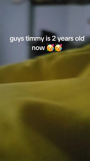 Daniel (@denieldushenko)’s video of Timmy