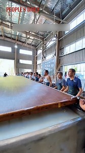 Do you know how Xuan paper is made? Xuan paper, which is ideal material for calligraphy and painting, has over 1,000 years of history in Jing County, E China's #Anhui, and is one of China's Four Treasures of Study. | People's Daily, China