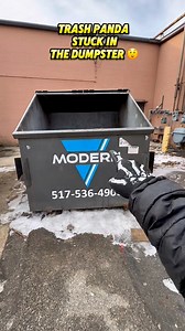 Trash panda stuck in dumpster 😲 #dumpsterdiving #trashpanda #viral #reels #wow #saved | Grab it fast