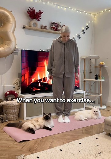 … but you have cats 👀
