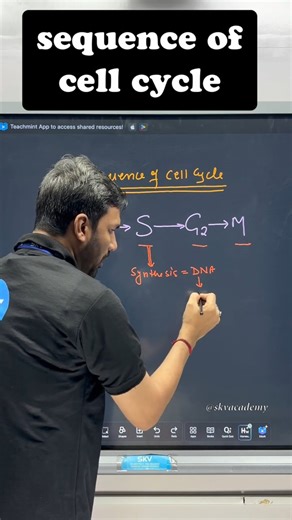 Sequence of cell cycle name #shorts #cellbiology #cellcycle #celldivision
