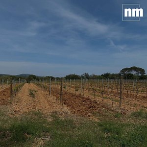 Nos abonnés ont percé les secrets de vinification des Crus Classés rosés, blancs et rouges au cours d’une visite guidée au Château Saint-Maur. | Nice-Matin