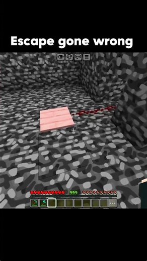 Minecraft escape gone wrong moment