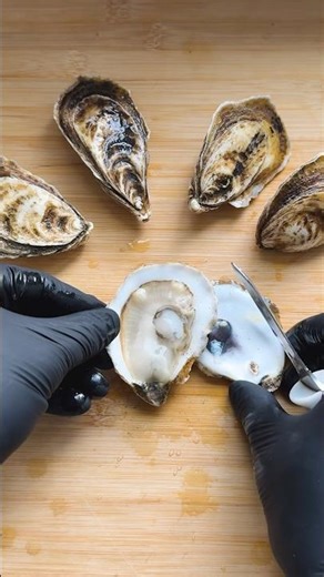 POV Opening Oysters #seafood #oysters