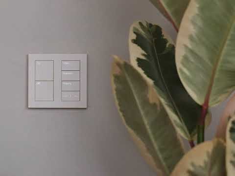 Lutron Palladiom Keypad Backlighting