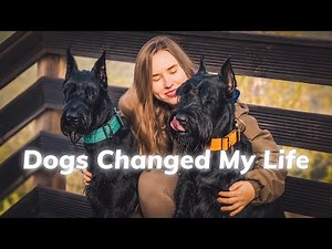Giant Schnauzers Changed My Life Forever (Short Film)
