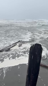 119K views · 1.2K reactions | About 3 minutes after this video I watched 3 people walk to the beach and get slammed against the walls by a 5-6’ wave. They’re lucky so much driftwood kept them close to the sea wall. The tides were crazy today | Brian Young | Facebook