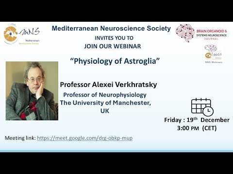 MNS Webinar nr.7 - Physiology of Astroglia