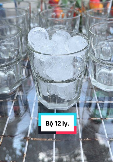 Bộ 12 ly thủy tinh 260ml — ly café, ly uống nước tiện dụng