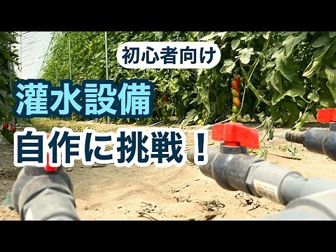 【ビニールハウス栽培】2年目農家でもできる灌水設備の自作紹介