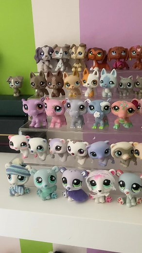 Phoebe_lps sur TikTok