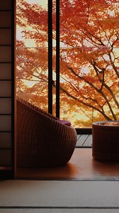 鬼怒川金谷2023秋[sp]