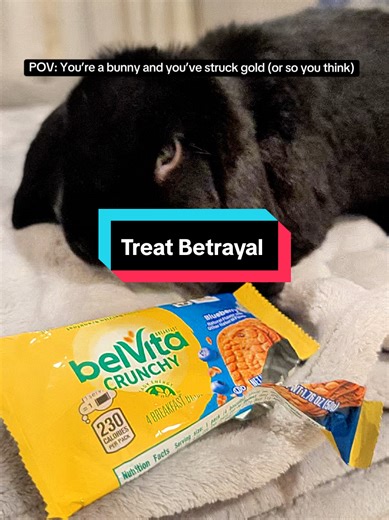 POV: You’re a bunny who just found the ultimate prize... or did you? 🐰🍪 Romeo is convinced this Belvita wrapper is hiding a secret snack. The betrayal is real! Is there anything more dramatic than a bunny with an empty treat bag? Watch until the end to see the realization hit. 😂. #funnybunny #cutebunny #bunny