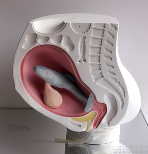 Speculative Design Projects That Will Blow Your Mind - Depositphotos Blog