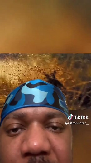 Primeval Crocodiles: Discover the Giant Monster