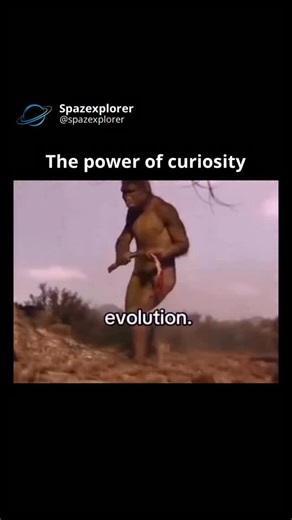 Spazexplorer on Instagram: "Life did not appear in its current form. It developed slowly, step by step, over billions of years. Evolution is the process by which living organisms change across generations. Small genetic variations occur naturally. Some of these changes help an organism survive better in its environment. Those traits are more likely to be passed on, while others slowly disappear. Over immense spans of time, these small changes add up. Single-celled life became multicellular. Simp