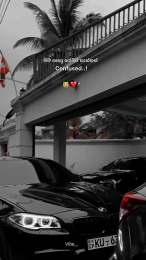 😼❤️#foryuo #fyp #viral #trending