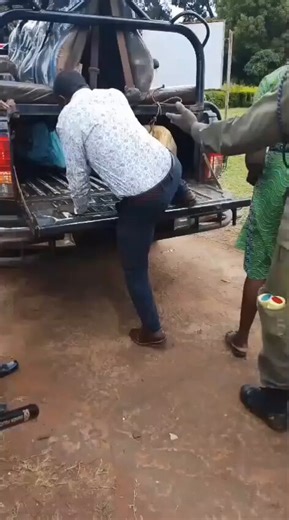 🚨UPDATE: I saw this video clip of Uganda police officers pushing a woman underneath the Patrol truck with men. ●These same police patrol trucks (underneath) are used as funeral vans in transporting dead bodies to mulago●why don't female MPS talk about this in parliament? These teachers were arrested reportedly for calling a PTA meeting in a UPE school asked the parents to pay some money for sugar and a snack to their kids who are in UPE.One parent protested and called the police which treated t