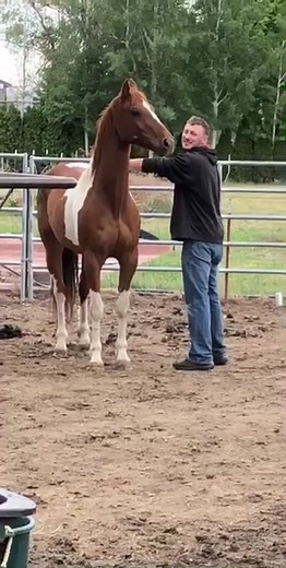 Leave it up to us professionals to show you how it’s done😂😂#PlayWithLife #horse #cowboy #fail #ouch