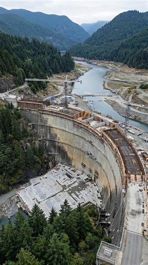 They BUILT a whole dam... wait for the END! 🤯 (AI) | Panda Curioso