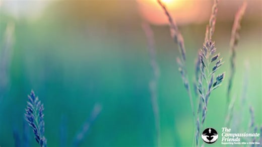 As we enter 2025, be assured that there is an entire community of bereaved parents, grandparents, and siblings ready to support you in this journey together, one day at a time. In this video, Ann Walsh shares how The Compassionate Friends has supported her year-to-year in her grief. We are here to offer support, education, and resources that surround and uplift families after the devastating loss of a child, grandchild, or sibling at any age and due to any cause. Wherever you are in your grief e