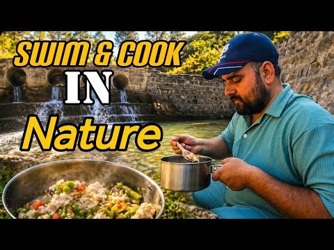 Peaceful Stream Life | Swim, Cook & Enjoy Nature Sounds