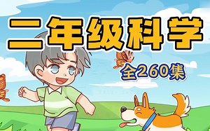 【全260集】小学科学 二年级科学 趣味动画，看动画 长知识 孩子一看就懂 人教版科学启蒙