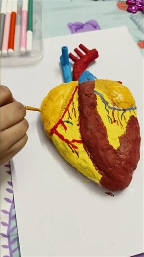 Human Heart Model Class 3 Science Project ❤️Sharing our handmade human heart model #HeartModel#scien