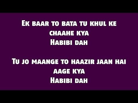 The Naari Naari (Lyrics HD) - Made In China | Vishal Dadlani