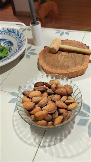 La casa de tus sueños en Penáguila Alicante #shorts #casas #pueblo