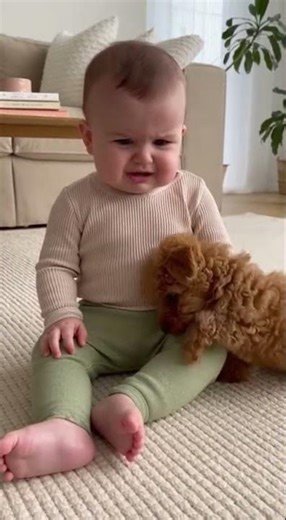 PUPPY'S CARE FOR BABY WHEN HE WAS EMOTINAL 🥰🥹🐶 #youtubeshorts