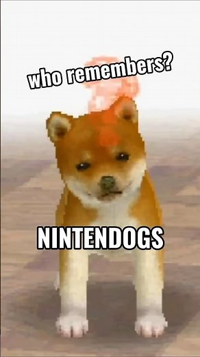 who remembers the nintendo ds and nintendogs ? #nintendogs #gaming #videogames